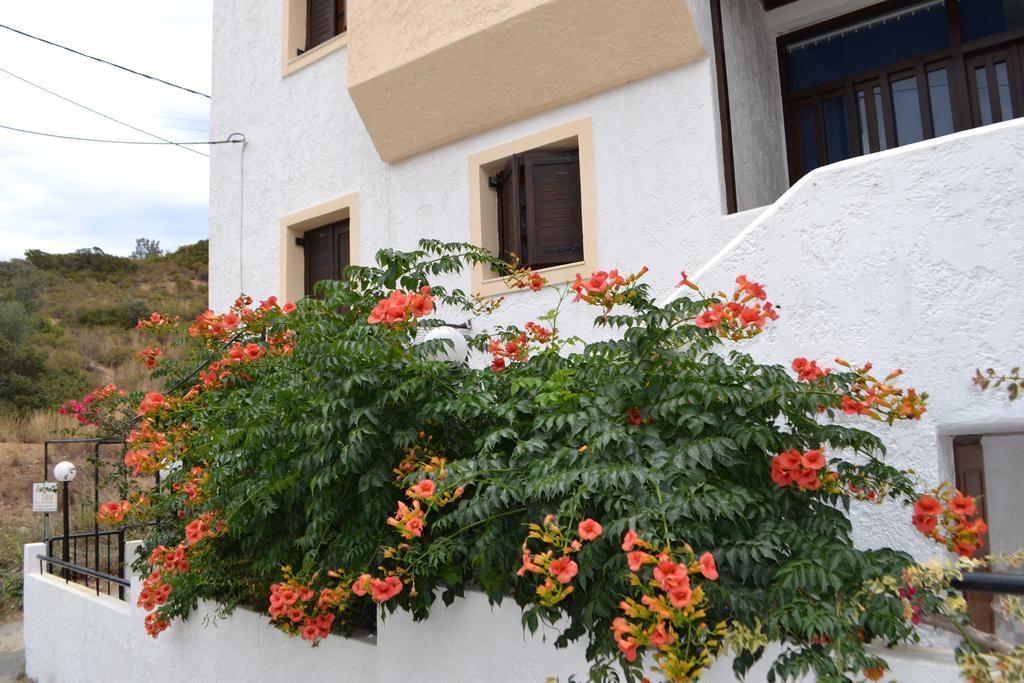 Apartament Bella Casa Bali  Zewnętrze zdjęcie